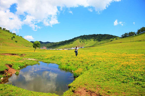 宝鸡关山草原水源状况