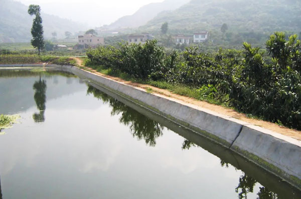 塘坝水